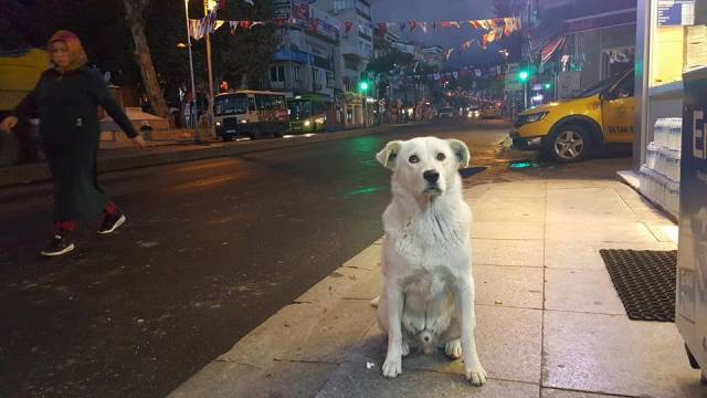 Beklentisi sadece bir merhaba da olabilir, yediğiniz yemekten göz hakkı da...