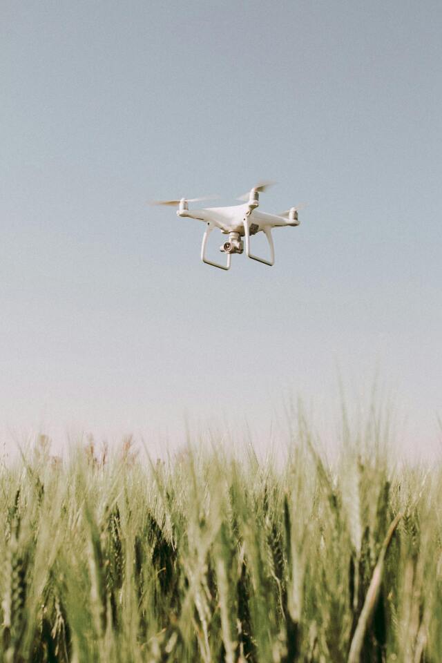 Tarım alanlarının drone ve uydu görüntüleriyle izlenmesi sayesinde bitki hastalıkları, su stresi veya besin eksiklikleri zamanında tespit ediliyor.