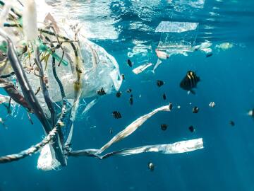 Bu gezegenin iyiliği için, daha az plastik!