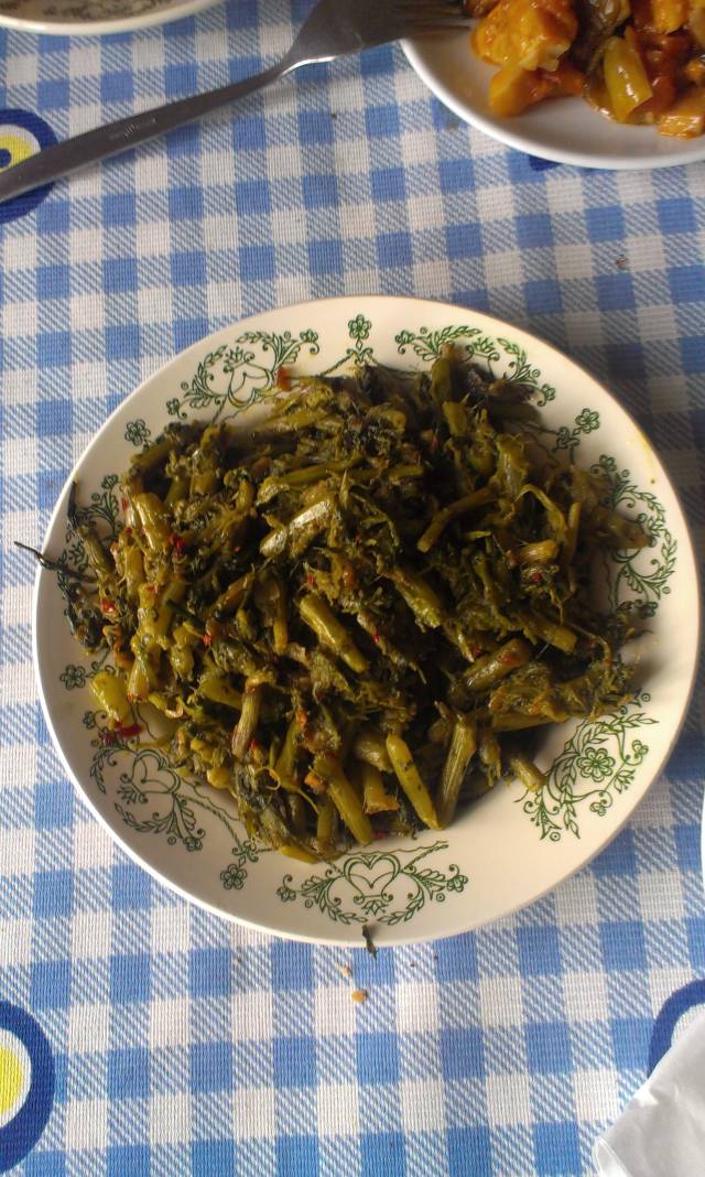 Datça’da iri papatyalara “dallampa” adı veriliyor.