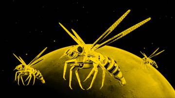 Robot arılar Mars yolunda!