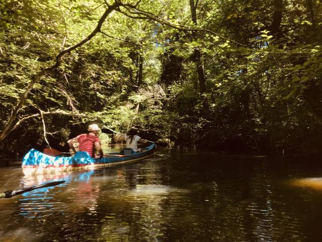 Do not forget to go kayaking while you are going to Flood Forests.