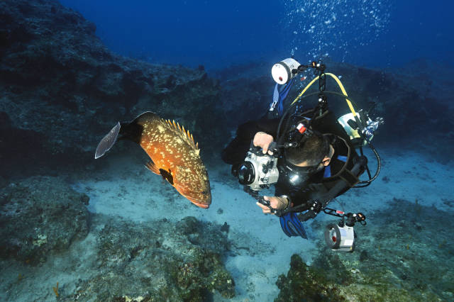 Scuba - Dalış Sporu 