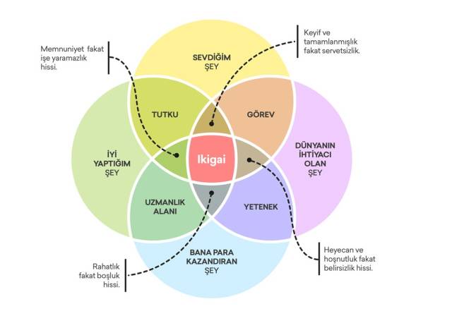 Ikigai’nizi bulurken mutlu ve tamamlanmış hissetme ihtiyacınızı öncelik olarak almanız gerekiyor.