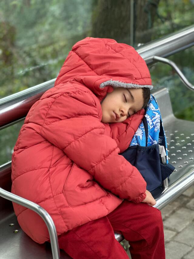 Okul konsantrasyonu, uyku düzeninden ekran kullanımına, fiziksel hareketten duygusal güvene kadar uzanan bir denge içinde gelişiyor.
