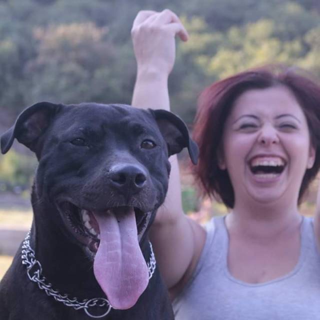 Gülin Devrim Çitoğlu’na göre; “sen ne isen köpeğin de o.”  