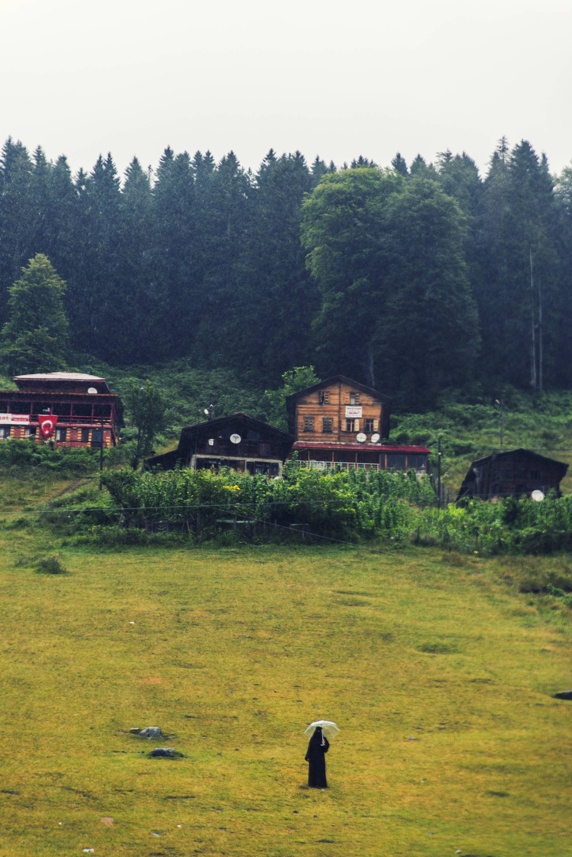 Karadeniz’in gerçek nefesini içine çekmek isteyenleri, bir çam denizi ile bekliyor Ayder Yaylası