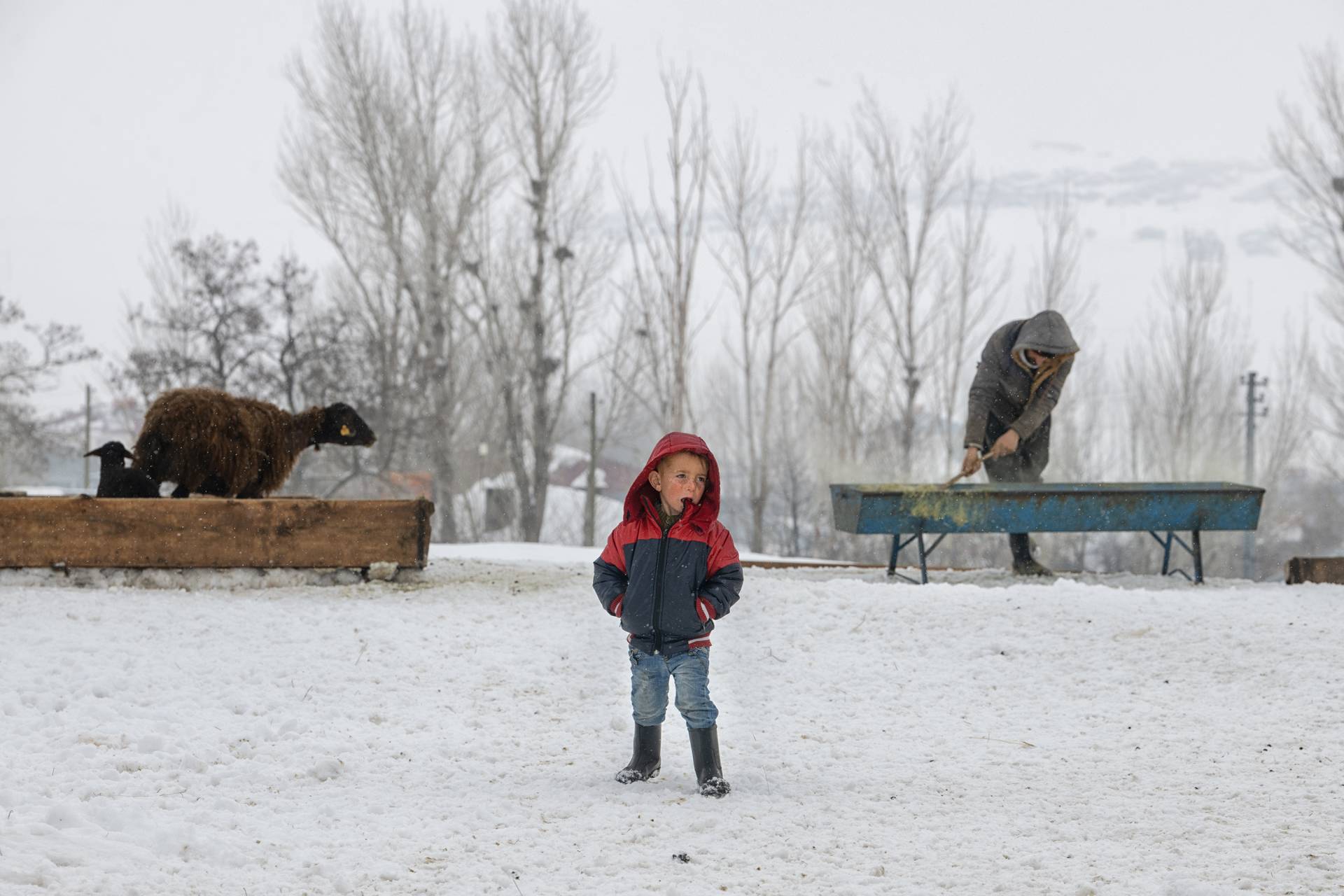 Fotoğraf: Murat Bakmaz
