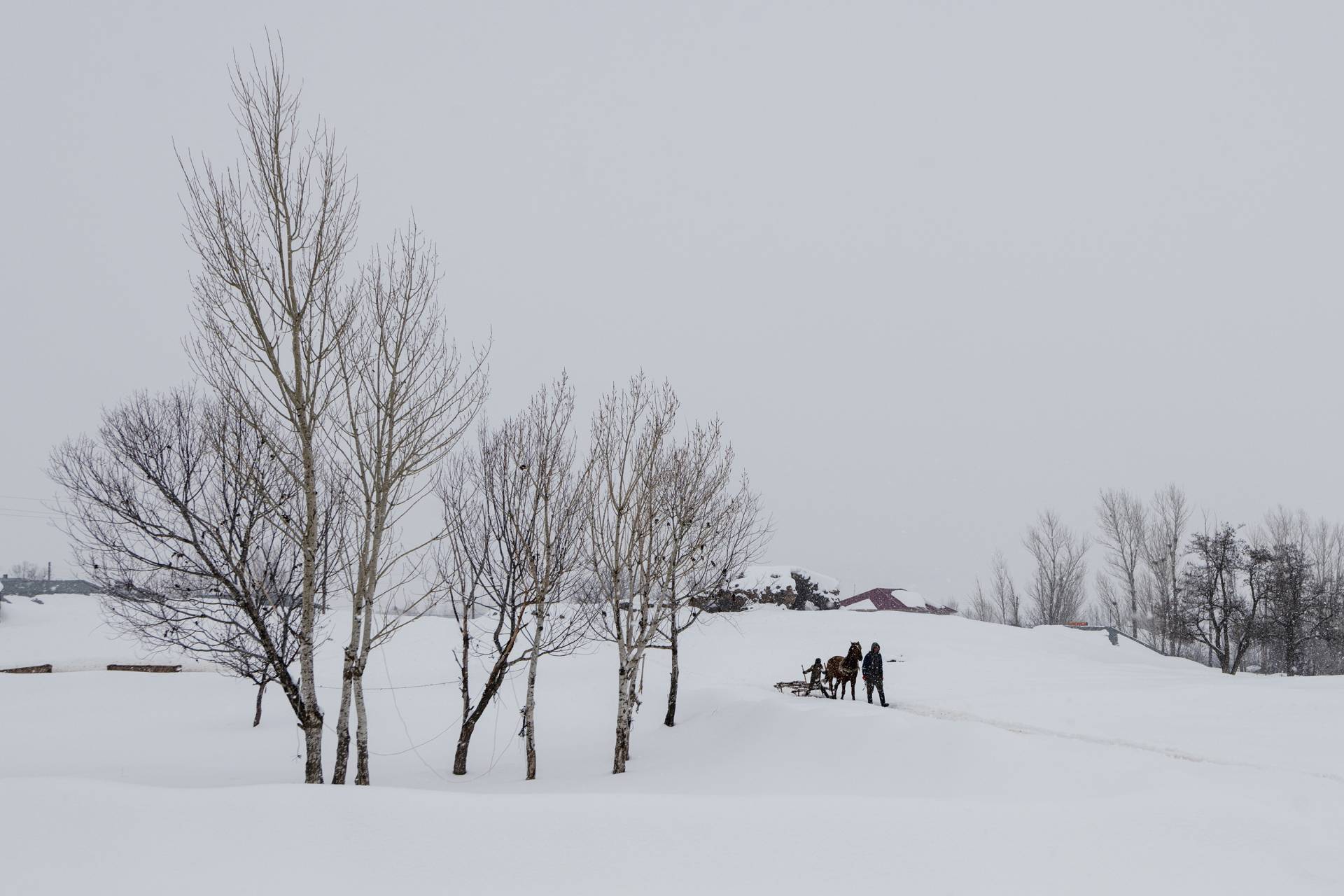 Fotoğraf: Murat Bakmaz