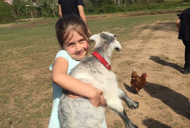 Hayvan sevgisinin gelişmesi için, köy gezilerinde hayvanlarla birebir temas sağlanıyor.|Fotoğraf: Cenk Ertekin