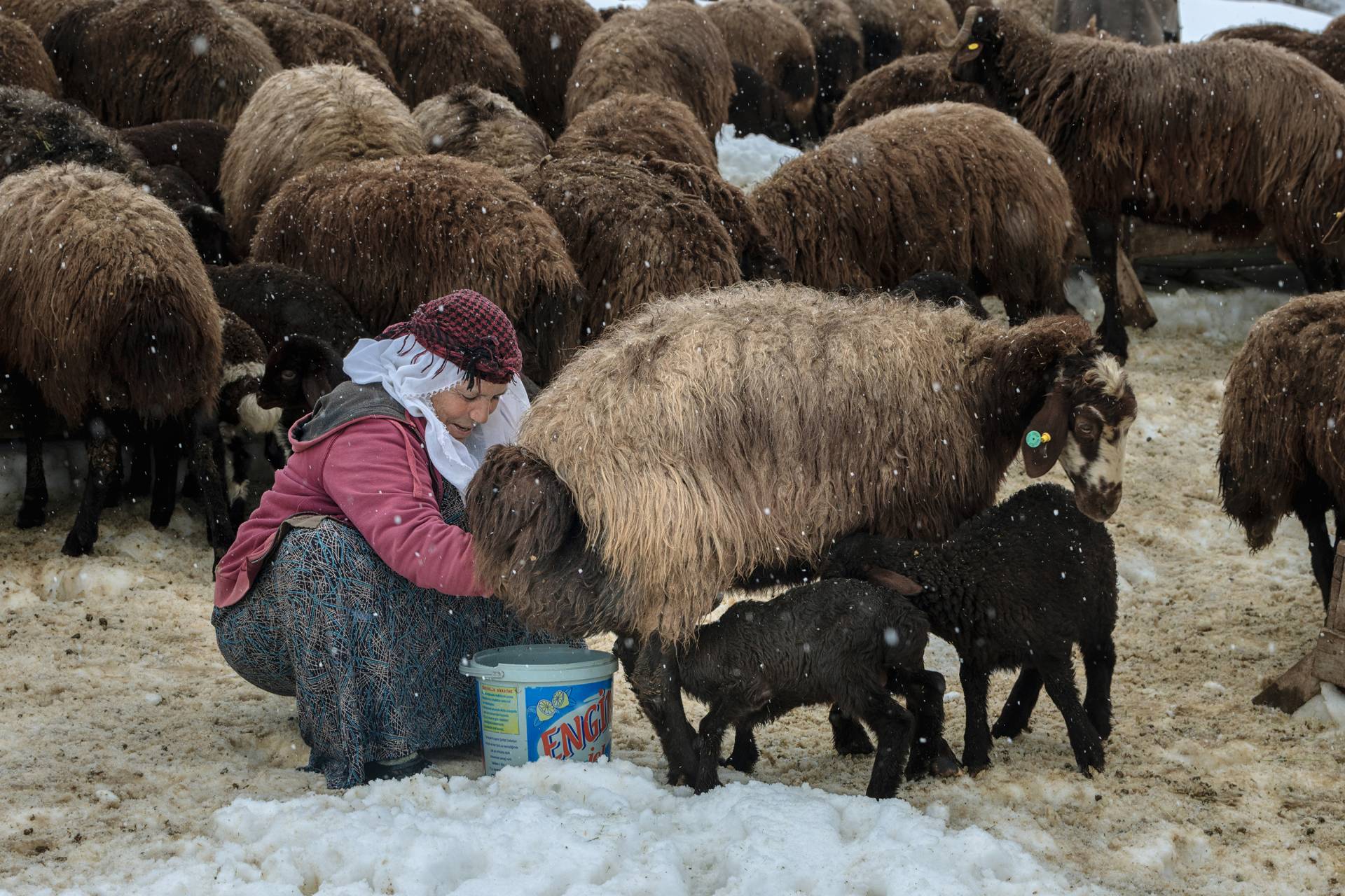 Fotoğraf: Murat Bakmaz