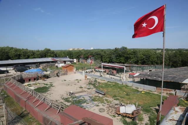 Barınakta beş çalışan var.|Fotoğraf: Cenk Ertekin