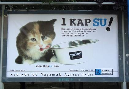 Kampanyaya, Kadıköy ve Fatih başta olmak üzere destek veren, billboard’lara afiş hazırlayan belediyeler de oldu.