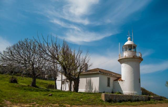 İğneada Feneri çevresindeki çay bahçelerinde çayınızı yudumlayabilirsiniz. 