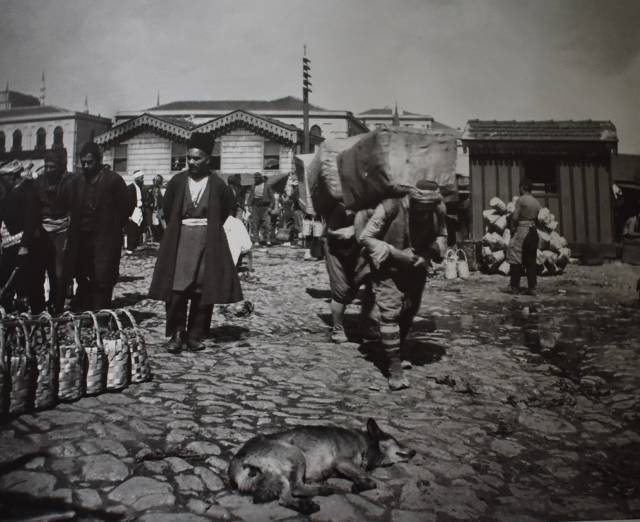 Hamallar ve sokak köpekleri, 19. yüzyıl sonu.