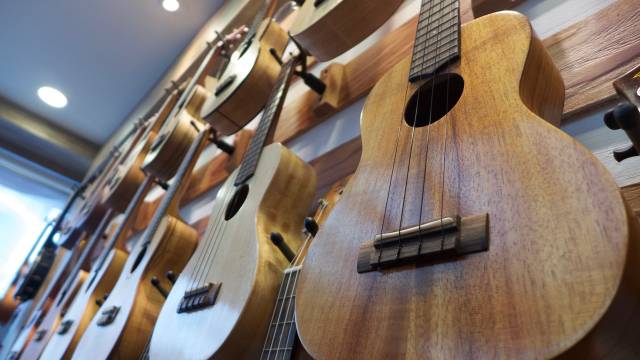 Ukulele öğrenmek için web siteleri, YouTube sayfaları, sosyal medya hesapları ve kitaplar gibi pek çok seçenek mevcut. 