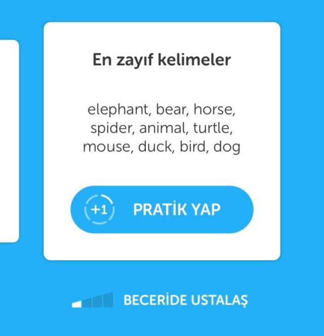 Duolingo oyun şeklinde dil öğretiyor. 