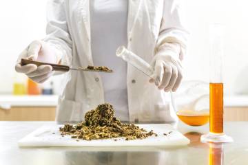 Propolis: The miracle coming from hives