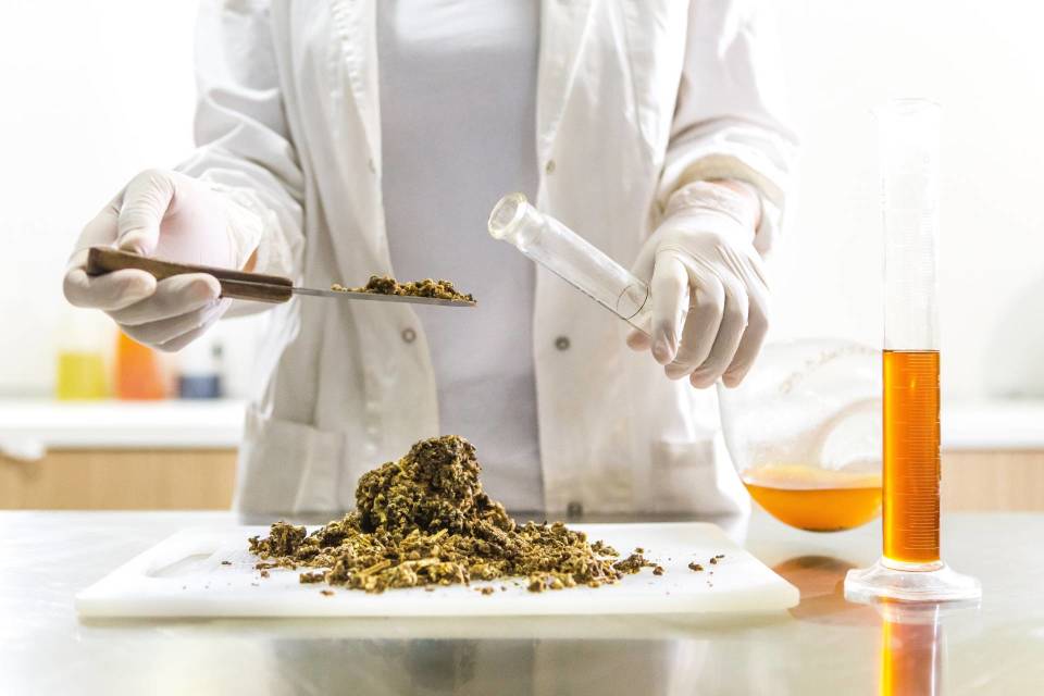 Propolis: The miracle coming from hives