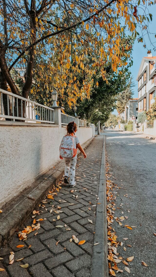 Dijitalleşme ancak basılı ve dijital materyallerin birlikte yığıldığı yeni bir yük yaratmadığında bu çözümün parçası olabilir.