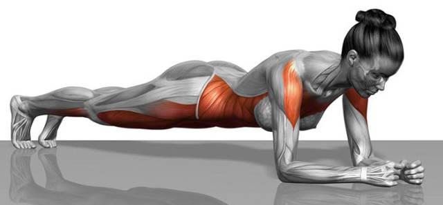 Plank
