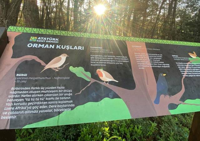 Ormandaki kuşların türlerini ve detayları panolarda yazıyor. 