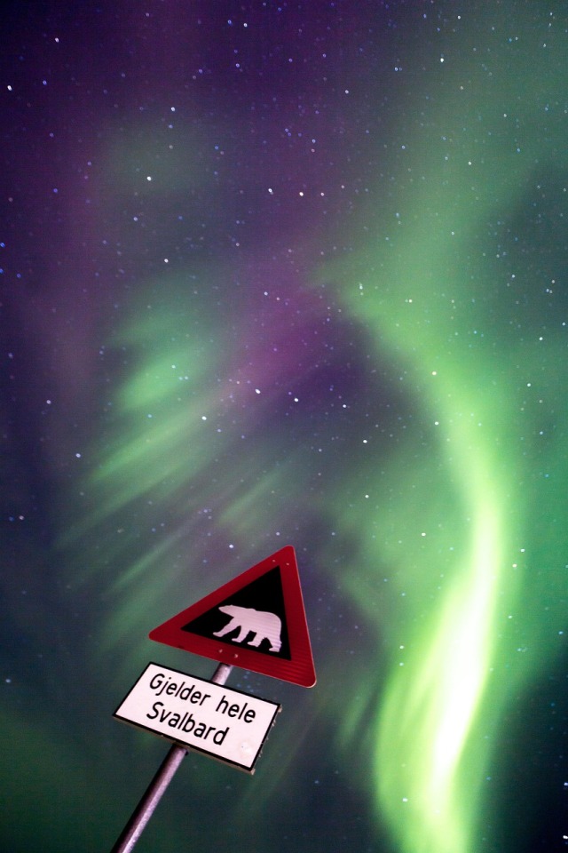 Svalbard’da kutup geceleri harika ama kutup ayısı riski de unutulmamalı.