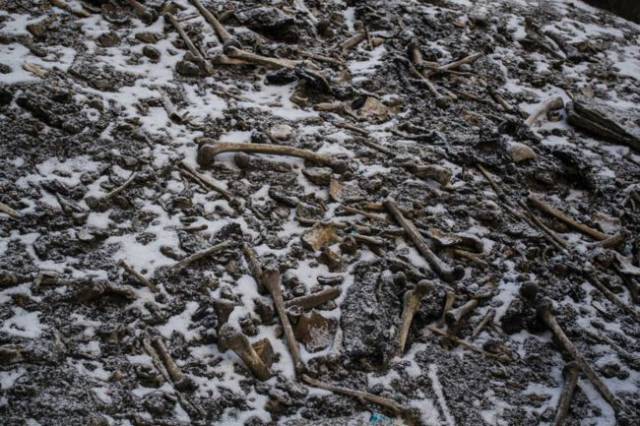 Roopkund’dan alınan 38 kemikle yapılan en son araştırma, iskeletlerin hikâyesinin sanılandan çok daha karmaşık olduğunu gösterdi ve önceki teoriler büyük oranda yanlışlandı. 