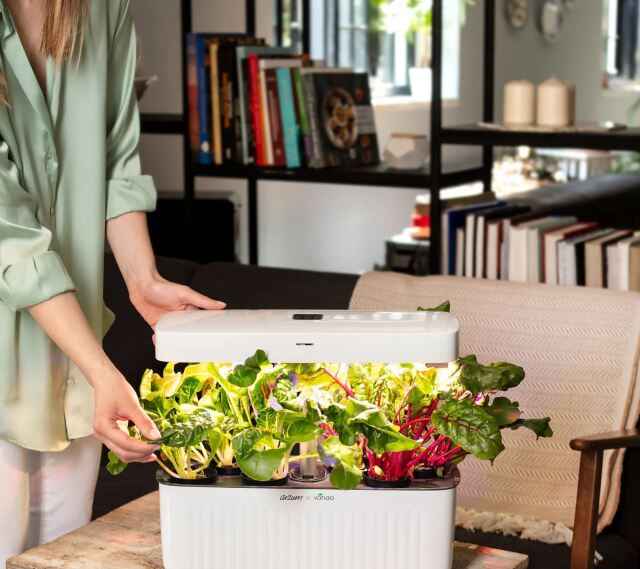 Vahaa Smart Garden, küçük ev aletleri markası Arzum’la yaptığı işbirliği ile tüm mutfaklara girmeyi amaçlıyor