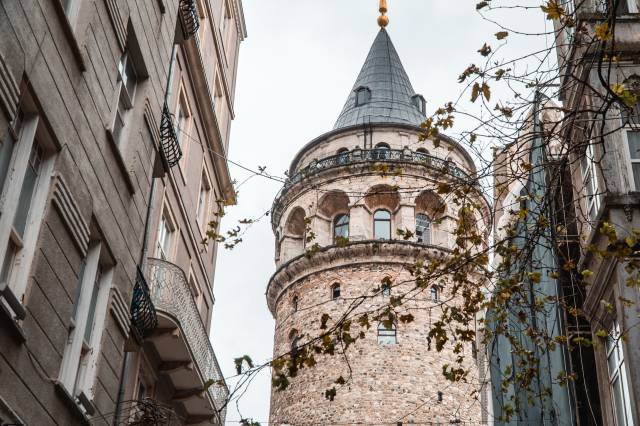 Mercan kedi, Galata Kulesi’nin hüzünlü bir hikayesinde başrol oyuncusu.