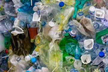 Microplastics Threaten the Environment and Human Health 