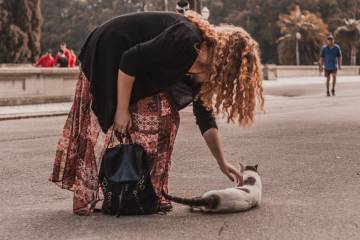 Be careful while helping street animals!