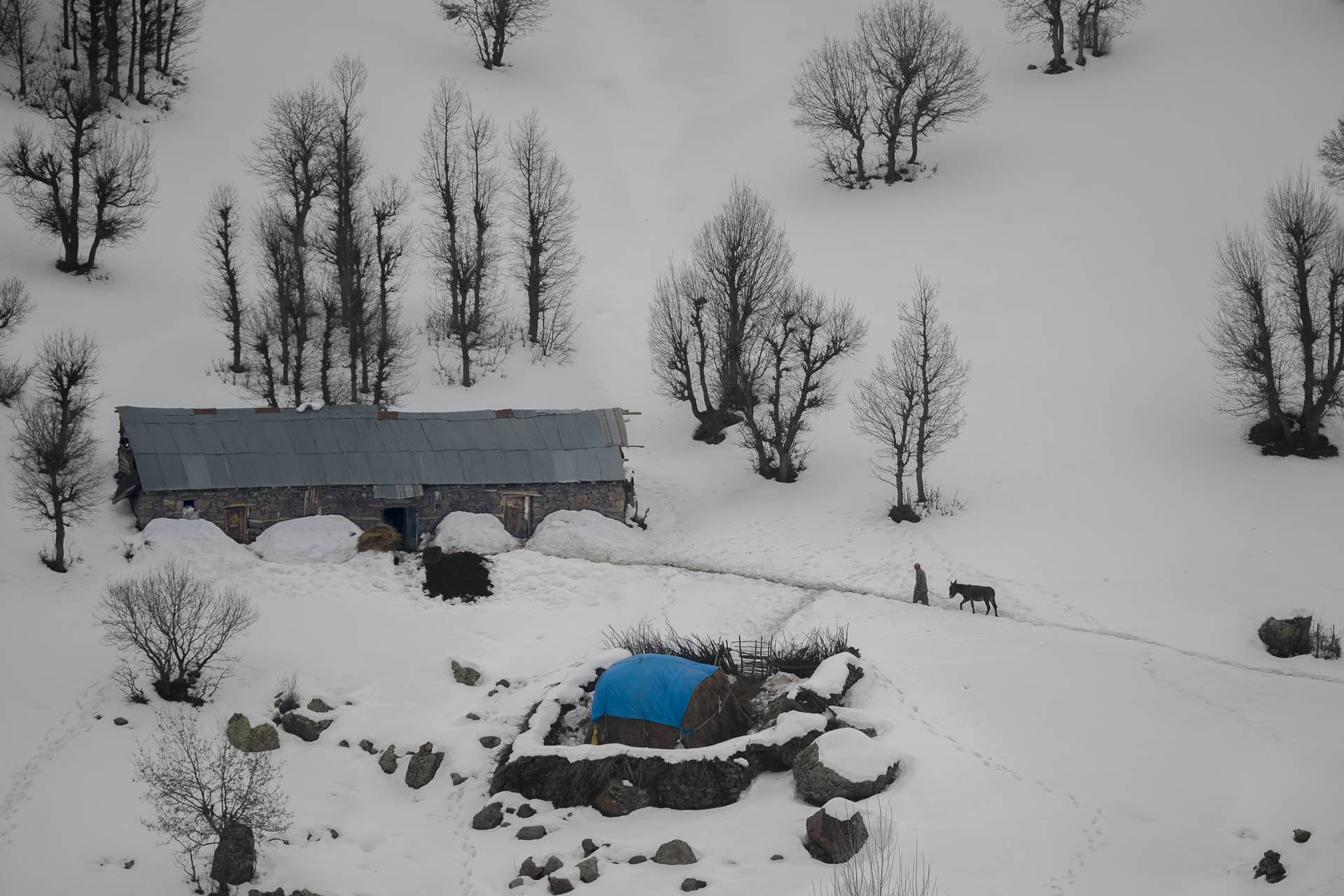 Fotoğraf: Murat Bakmaz