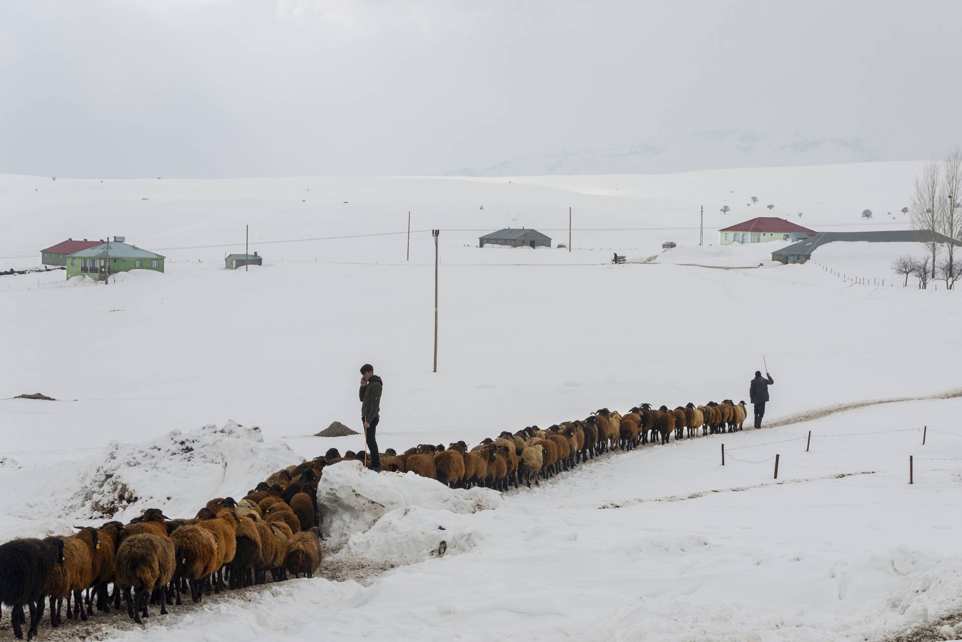 Fotoğraf: Murat Bakmaz