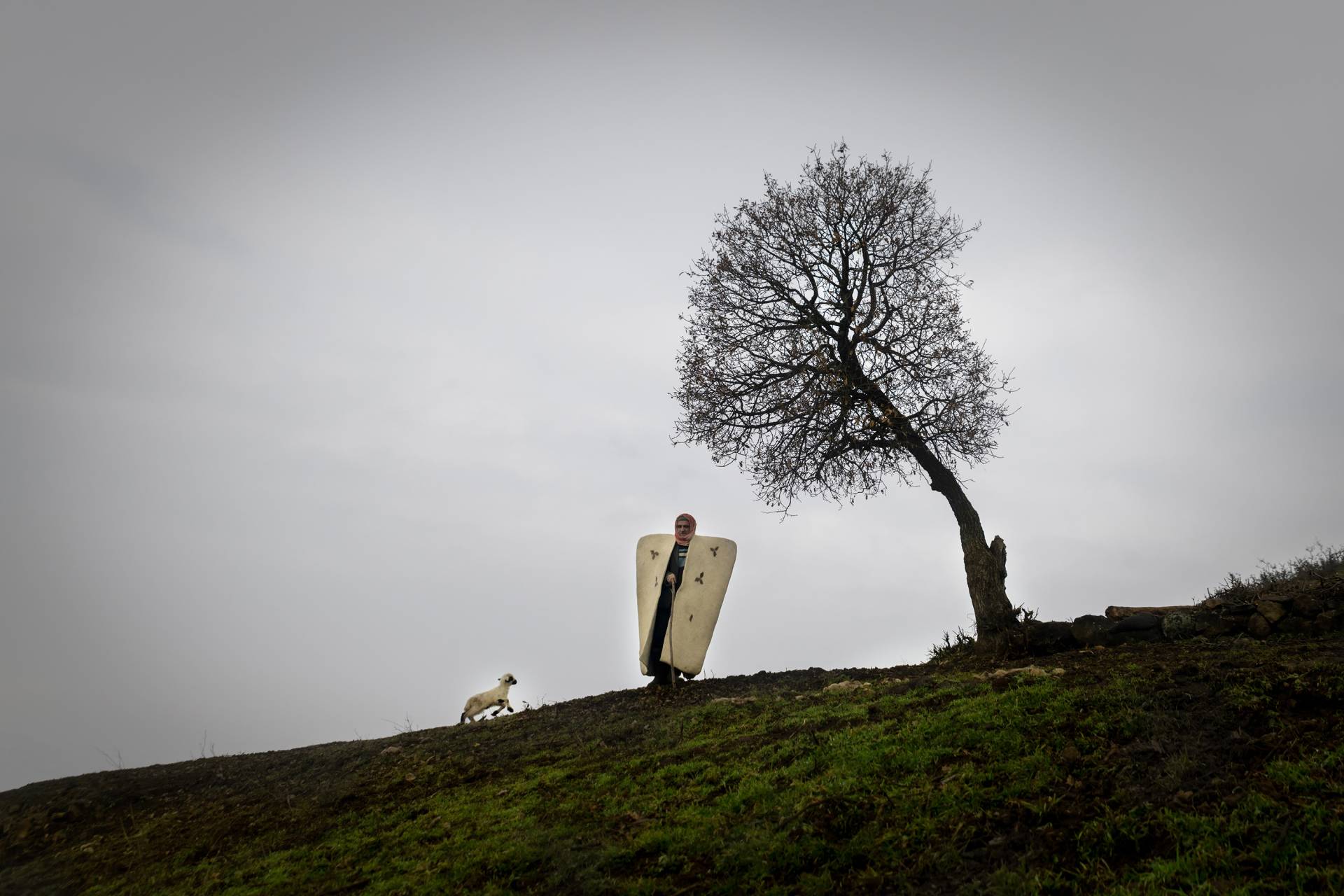 Fotoğraf: Murat Bakmaz