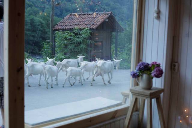 The main expectation is being close to nature. 