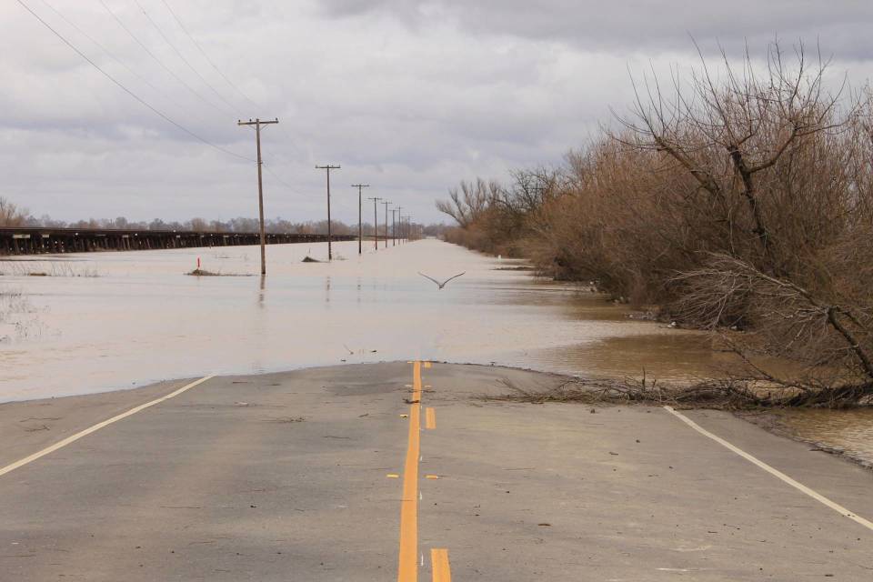 A Guide to using social media in case of disaster