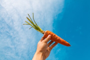 Sağlık veren renkler: Beta karoten
