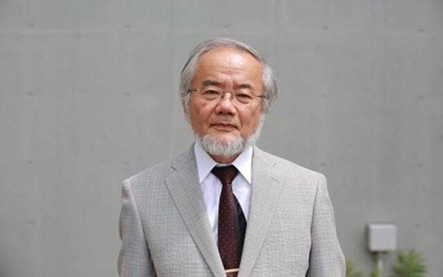Yoshinori Ohsumi’nin otofaji üzerindeki çalışmaları Nobel Tıp Ödülü’ne layık görüldü. 