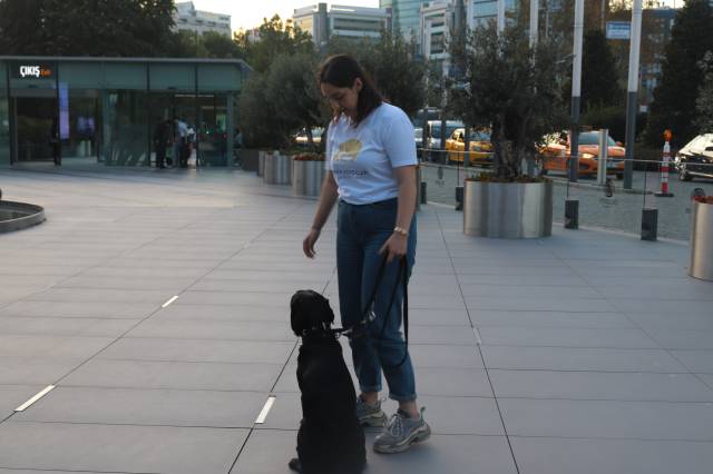 Köpeklerin otur-yat-kalk gibi temel komutları öğrenmesi, daha sonra alacakları eğitimler için çok önemli.|Fotoğraf: İrem Karakahya