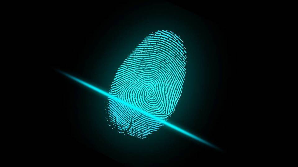You May Get in Trouble in Face of an Identity Fraud