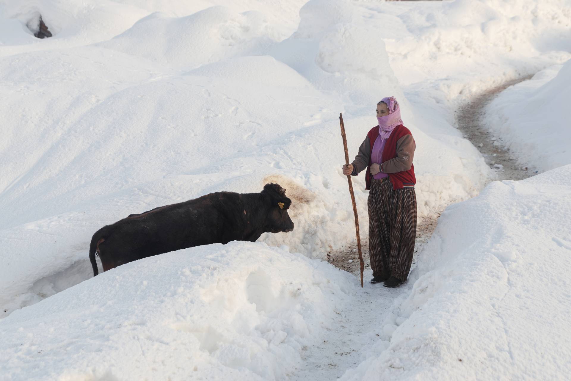 Fotoğraf: Murat Bakmaz