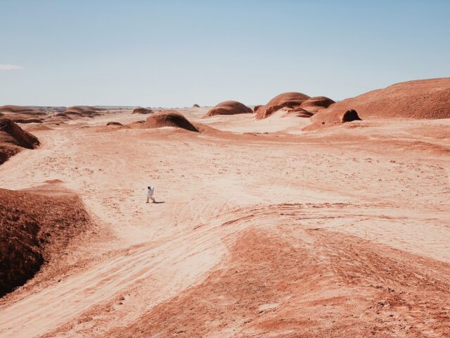 2021 ikincisi, Dan Liu, Çin A Walk on Mars iPhone 11 Pro Max ile çekildi