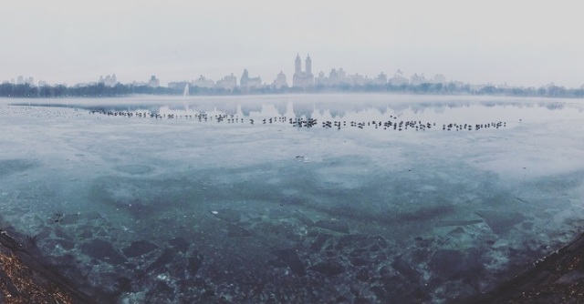 2018 panorama kategorisi ikincisi, Burcu Öztürk, Amerika Birleşik Devletleri Donmuş Central Park iPhone 7 ile çekildi 