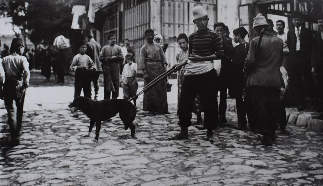 Sokak köpeklerinin yakalanışı, 20. yüzyıl başı.