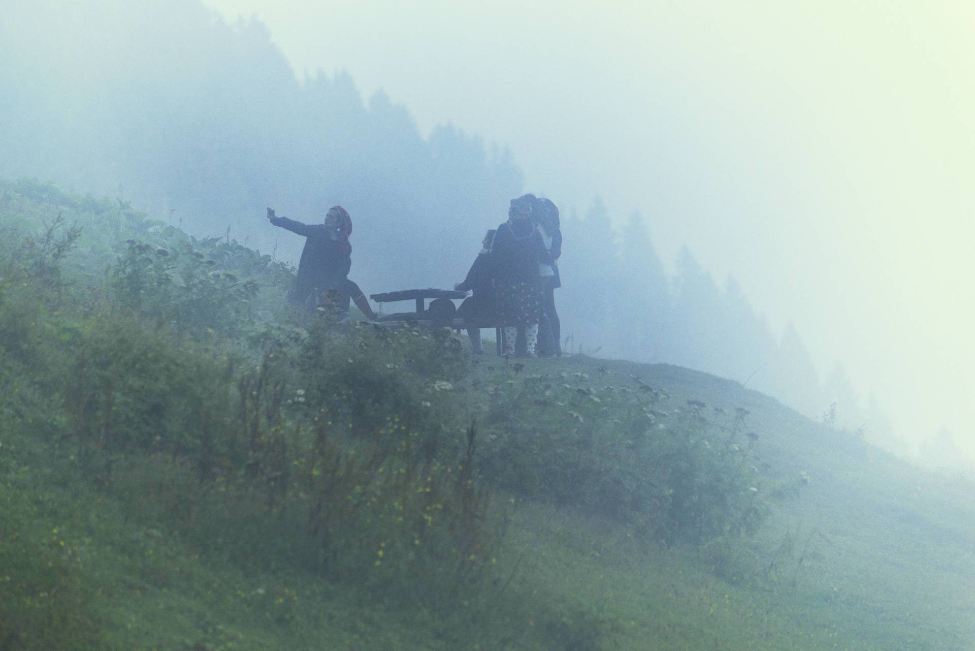 pokut