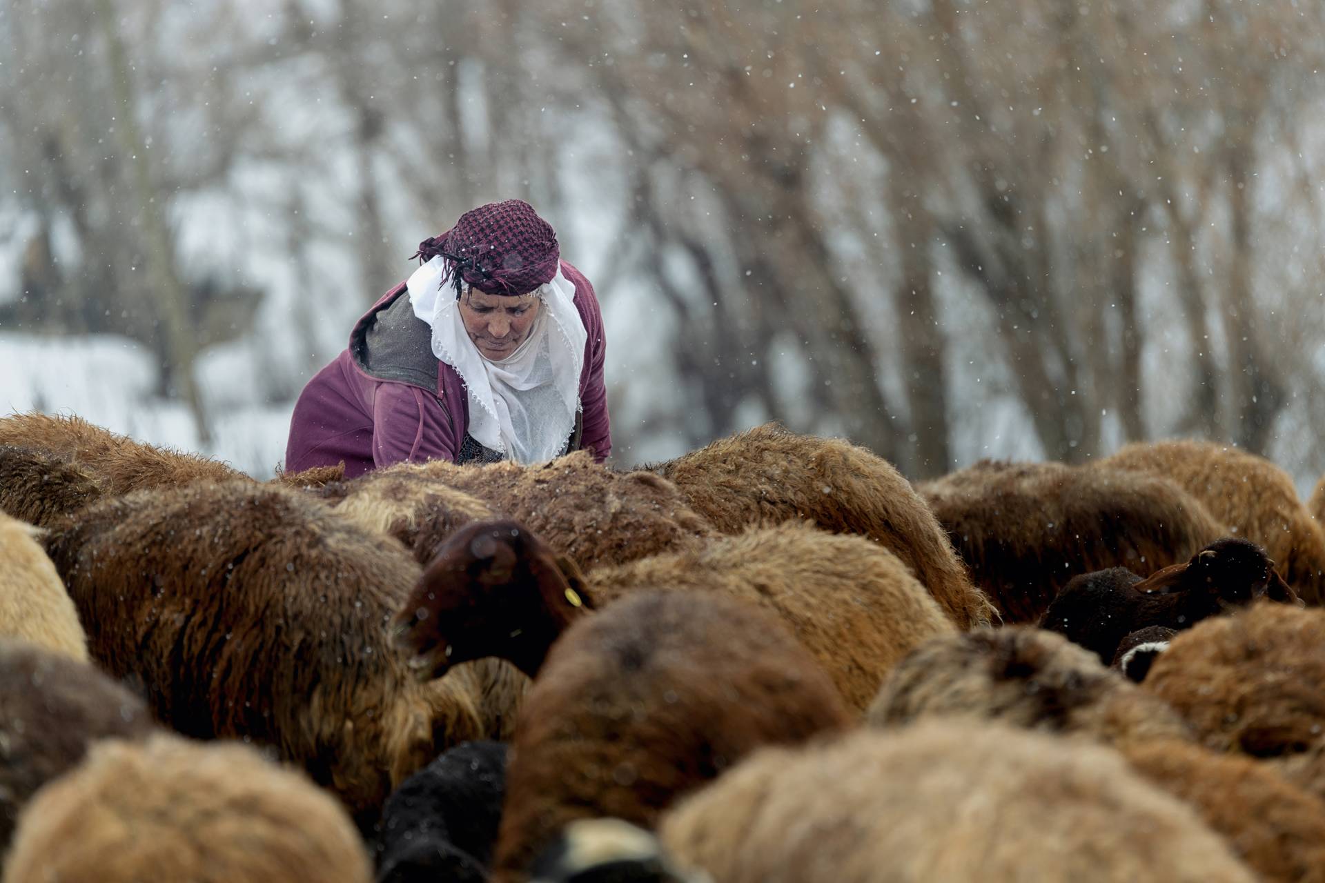 Fotoğraf: Murat Bakmaz