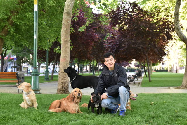 Köpeğiniz çocuğunuz değildir.