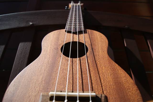 Ukulele, Hawaii dilinde “zıplayan pire” anlamına geliyor.