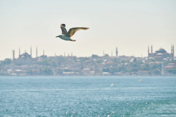 Bayramda şehir içinde gezilebilecek beş gözde nokta
